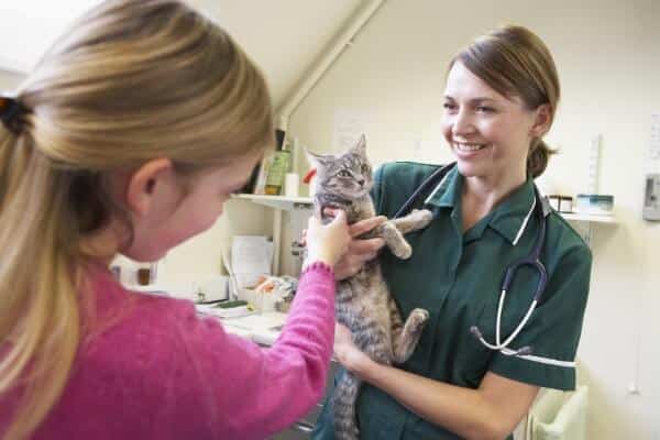 Consulting Skills For Vet Nurses Excel Cpd - 